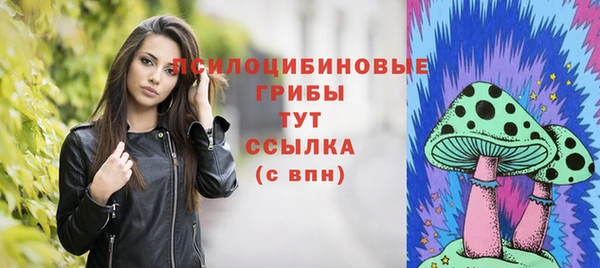 скорость Алзамай