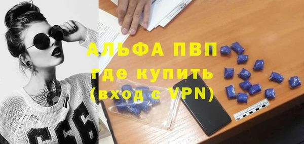стаф Алексеевка