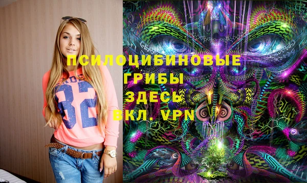 скорость Алзамай