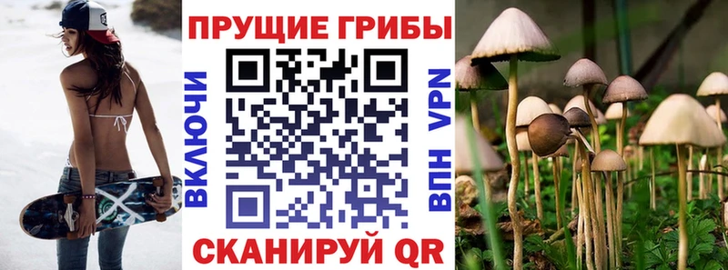 дарнет шоп Ейск Псилоцибиновые грибы MAGIC MUSHROOMS