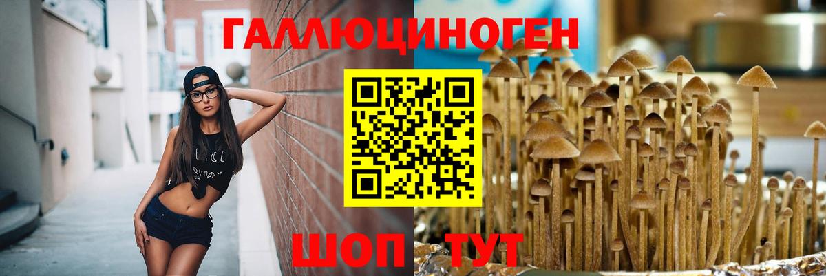 Псилоцибиновые грибы Psilocybine cubensis  Вход с VPN  Ейск 